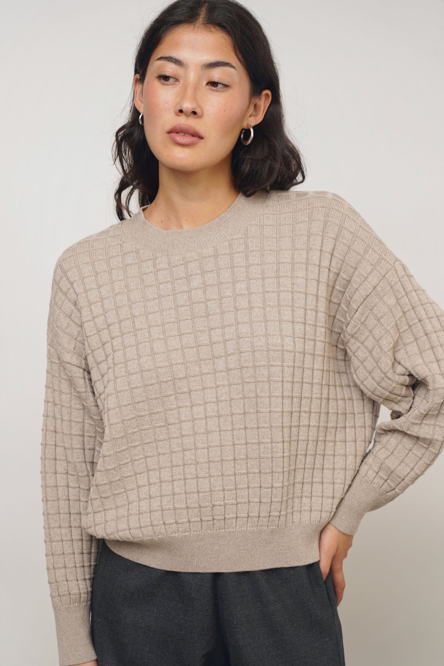 Pullover check | beige
